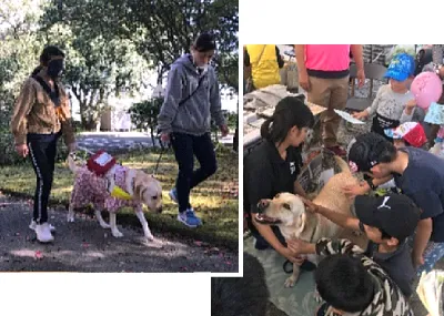 盲導犬普及活動